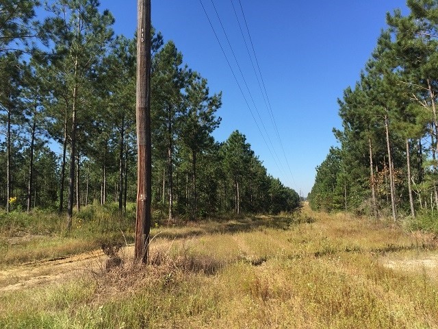 119 Acres In Lamar County Ms, Lumberton, MS for sale - Building Photo - Image 2 of 7