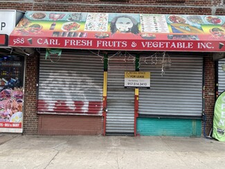 More details for 584-592 Albany Ave, Brooklyn, NY - Retail for Lease