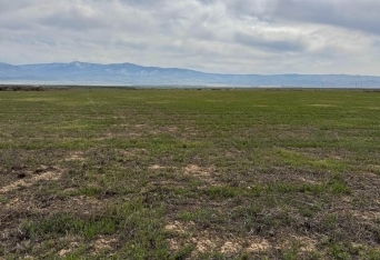 North of Copus Rd, TAFT, CA 93268 - Land For Sale | LoopNet