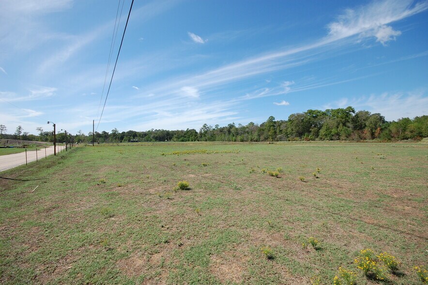 17234 FM 1314, Conroe, TX 77302 Land for Sale