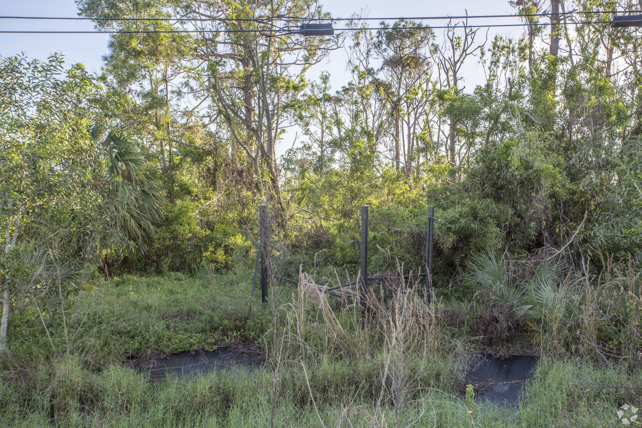 11175 Tamiami Trl E, Naples, FL for sale Primary Photo- Image 1 of 1