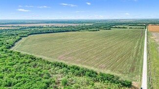 More details for 184ac Winn Road, Collinsville, TX - Land for Sale