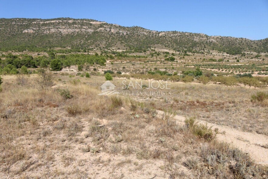 Land in MONÒVER for sale - Building Photo - Image 2 of 17