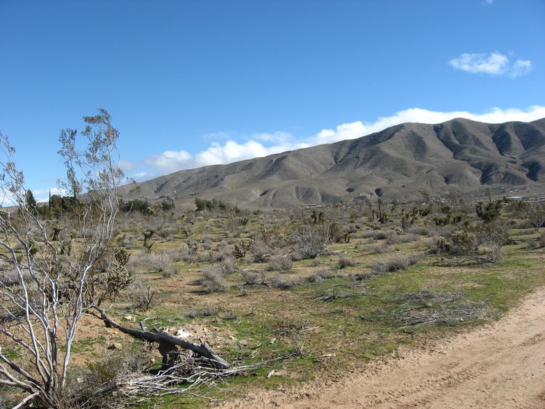 Kiowa Rd, Apple Valley, CA for sale - Primary Photo - Image 1 of 1