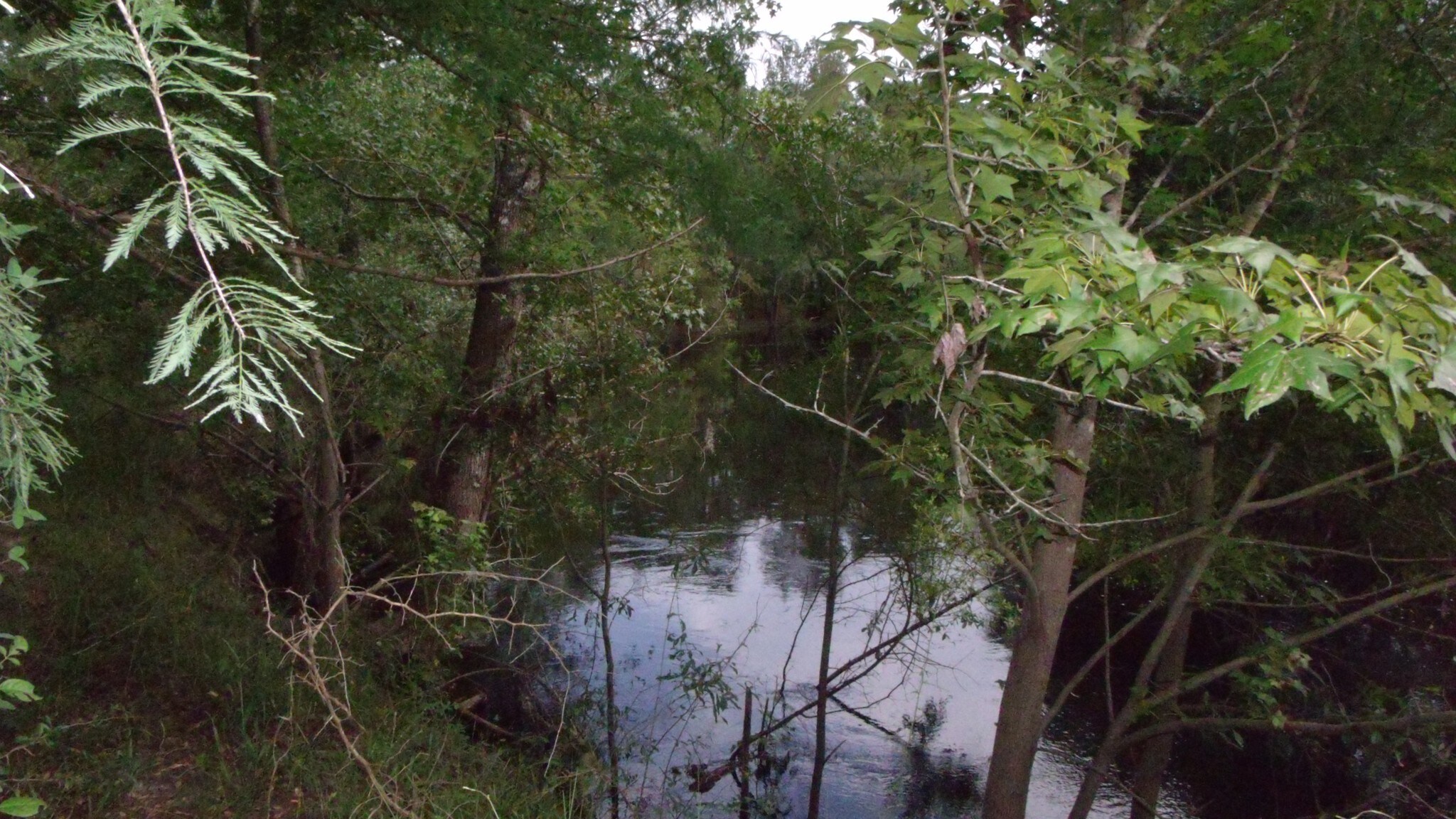 4047 McKethan Rd, Dade City, FL for sale Other- Image 1 of 1