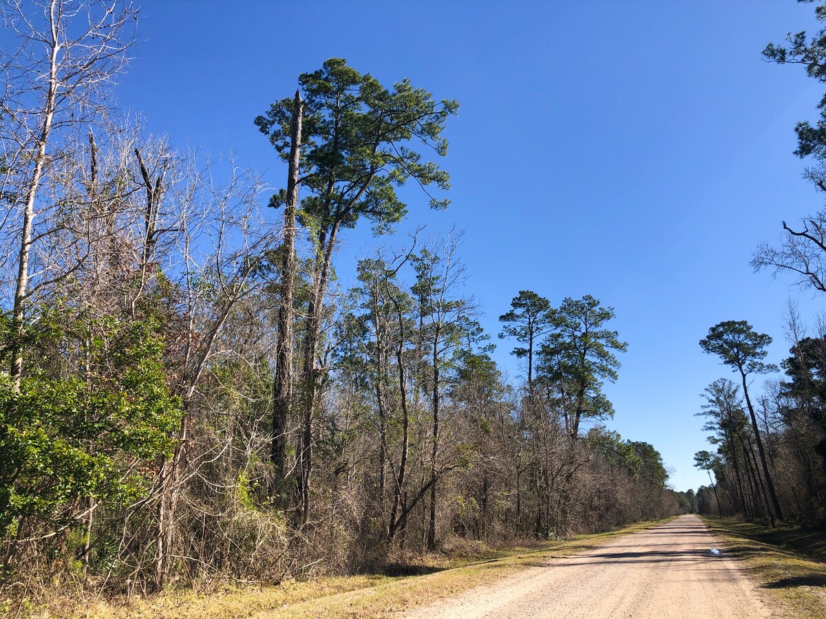 Palmer Rd, Daisetta, TX 77533