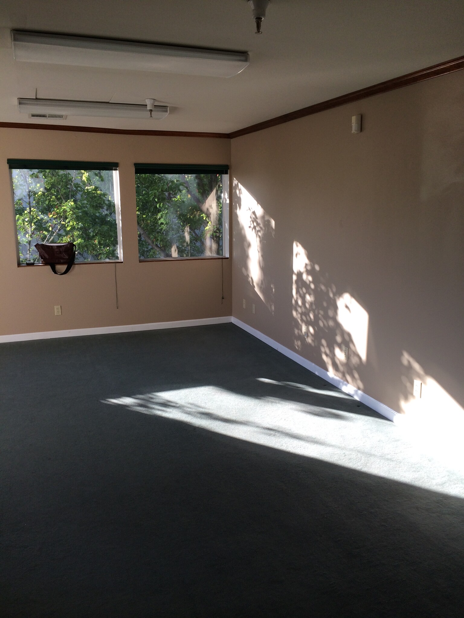 3721 Santa Rosa Ave, Santa Rosa, CA for lease Interior Photo- Image 1 of 6