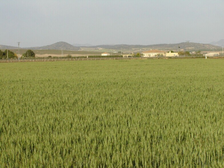 Land in MURCIA for sale - Building Photo - Image 2 of 3