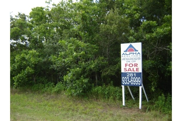 FM 1462, Rosharon, TX for sale - Building Photo - Image 1 of 1