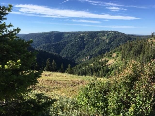 Skeels Property, Union, OR for sale - Building Photo - Image 1 of 1