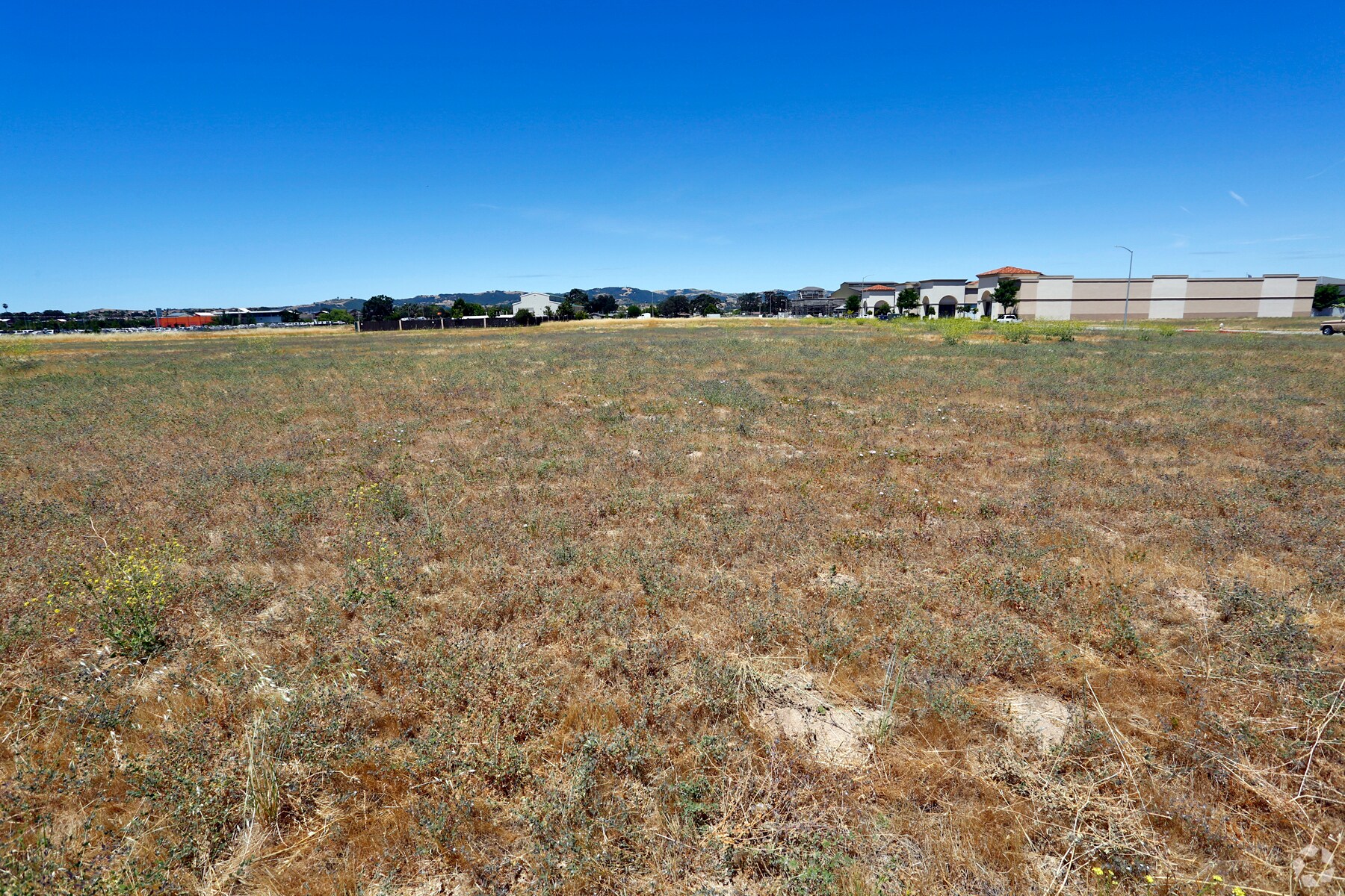 Wisteria Ln, Paso Robles, CA for sale Primary Photo- Image 1 of 1
