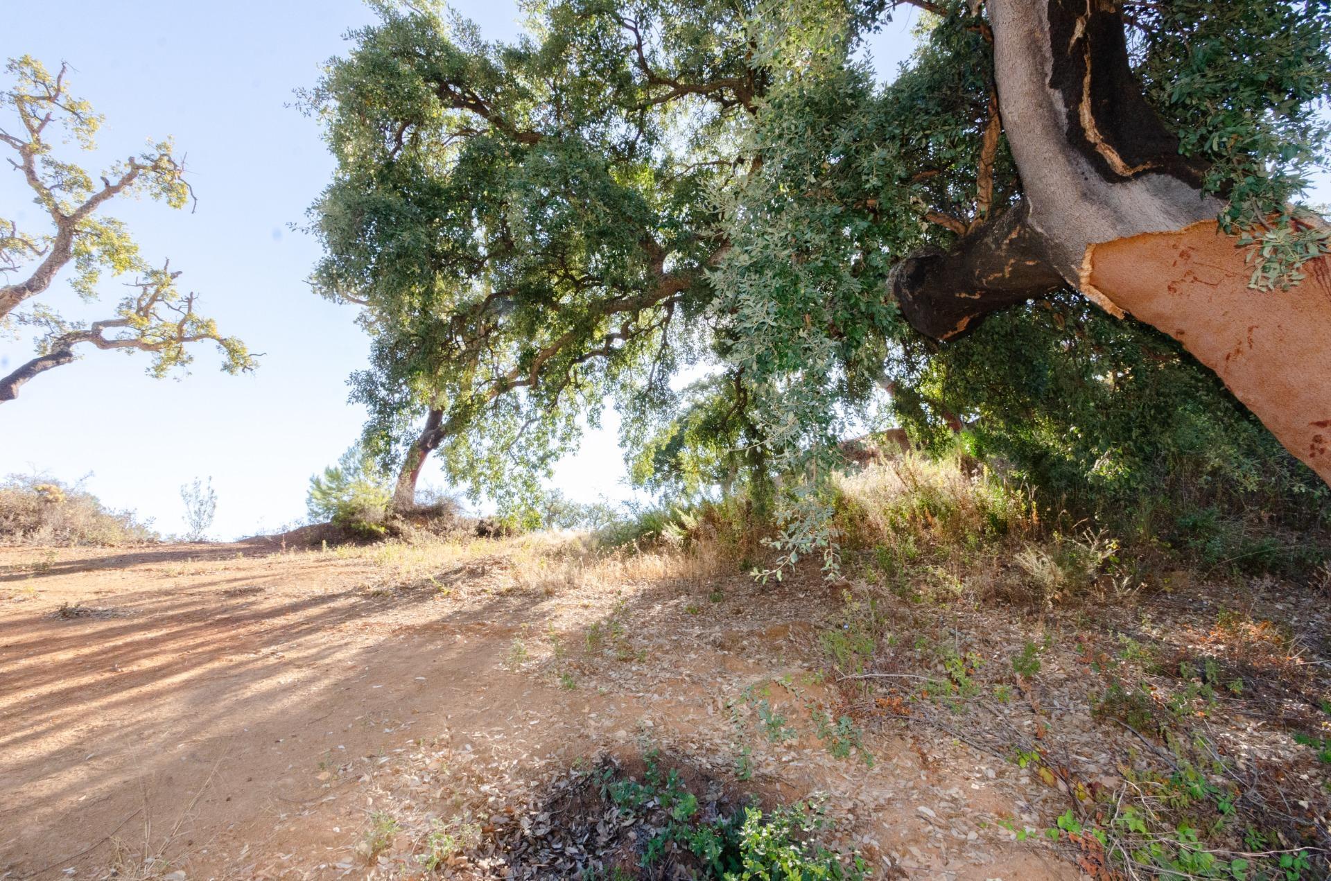Land in Ojén for sale Building Photo- Image 1 of 11