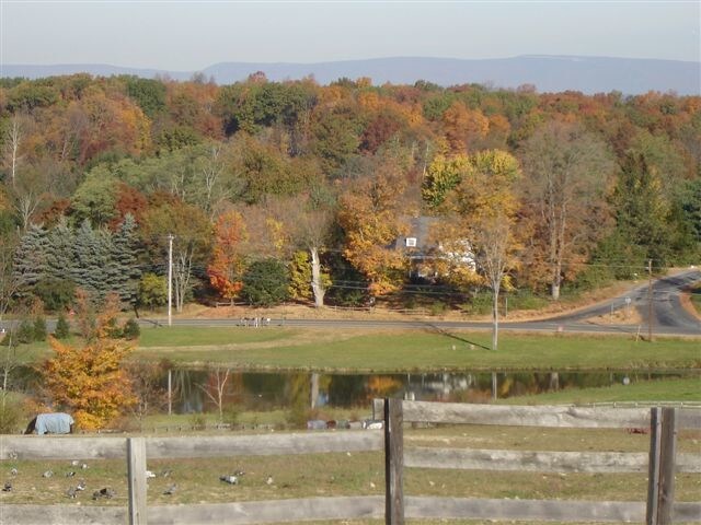 173 Sarah Wells Trl, Campbell Hall, NY for sale - Primary Photo - Image 1 of 1