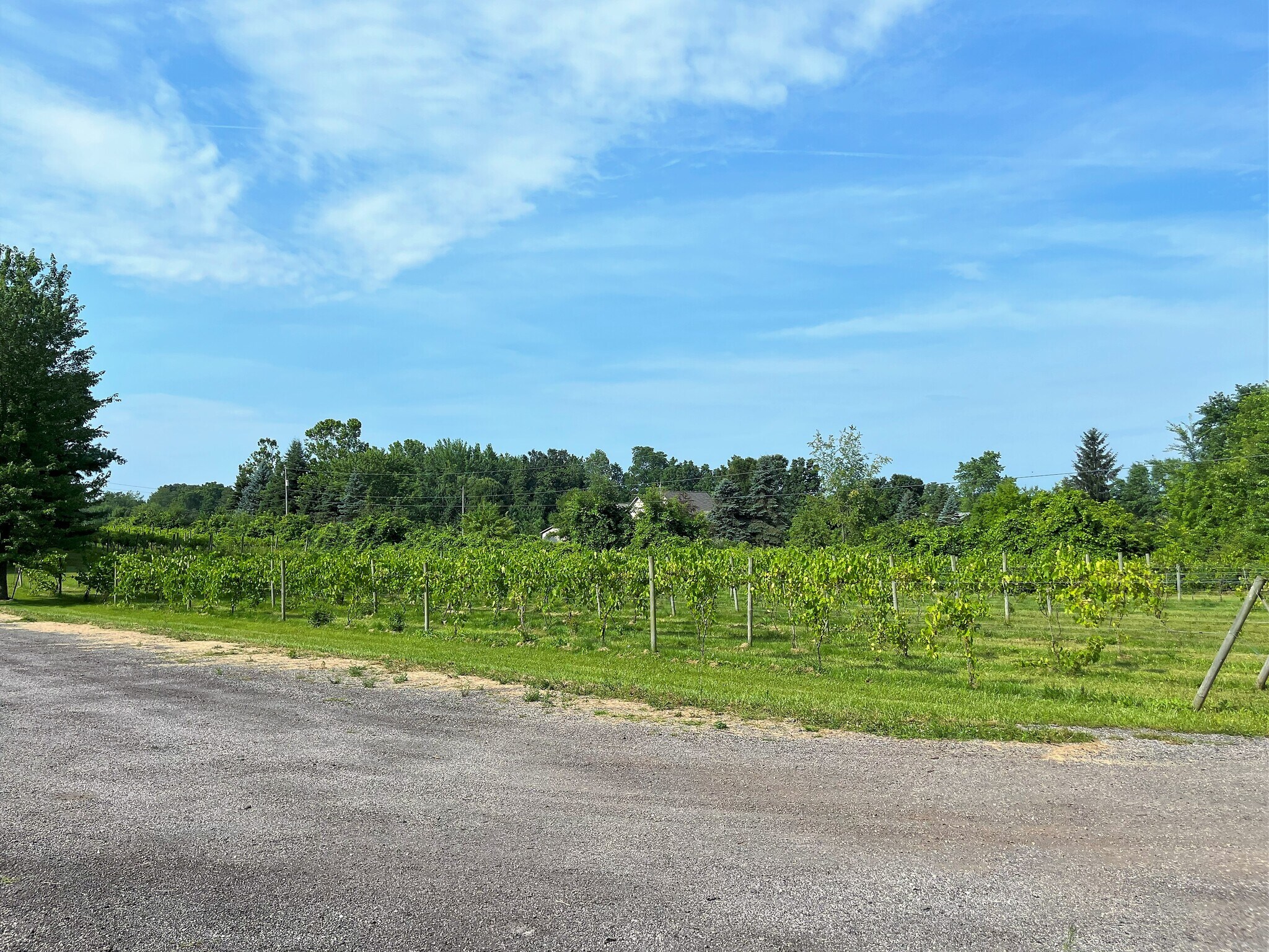 1261 E Munger Rd, Tecumseh, MI 49286 Winery, Vineyard, Brewery, FarmTecumseh