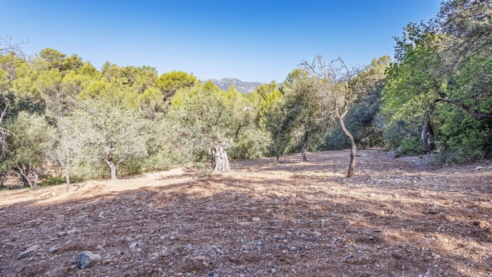 Land in Campanet for sale - Building Photo - Image 3 of 37