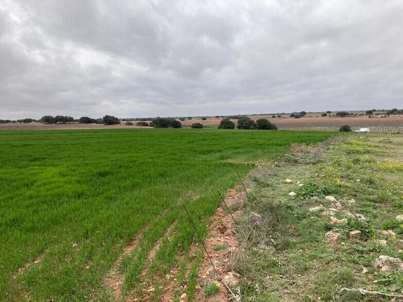 Land in Campo de Criptana for sale - Building Photo - Image 2 of 22
