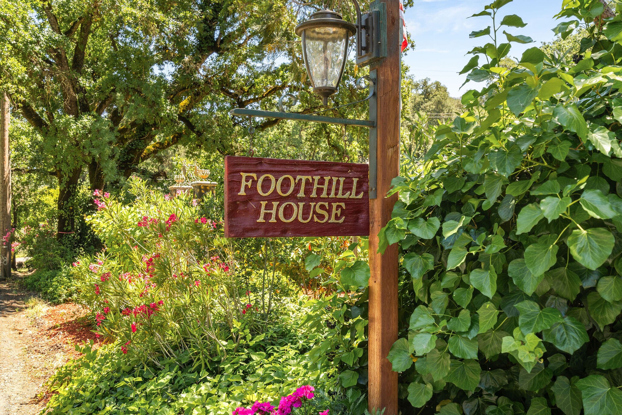 3037 Foothill Blvd, Calistoga, CA for sale Primary Photo- Image 1 of 60