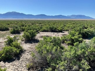 More details for 000 Montello Springs Rd, Montello, NV - Land for Sale