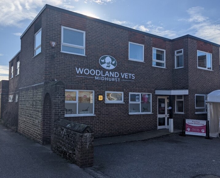 Grange Rd, Midhurst for sale Primary Photo- Image 1 of 1