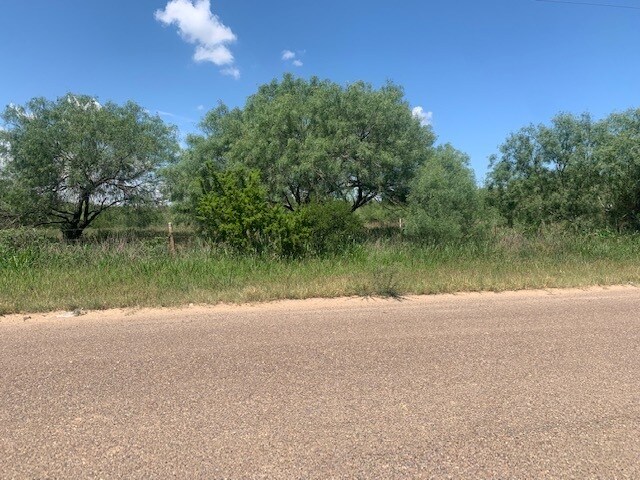 398 Well Ln, Laredo, TX for sale Primary Photo- Image 1 of 9