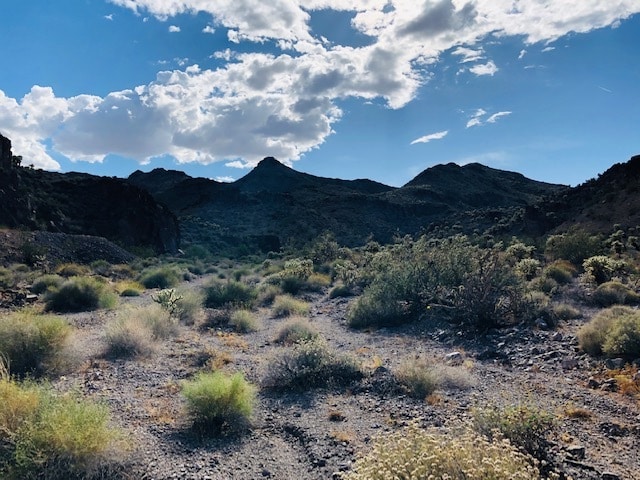State Road 165, Nelson, NV for sale - Primary Photo - Image 1 of 7