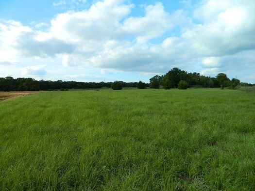 878 LCR, Jewett, TX for sale Other- Image 1 of 1