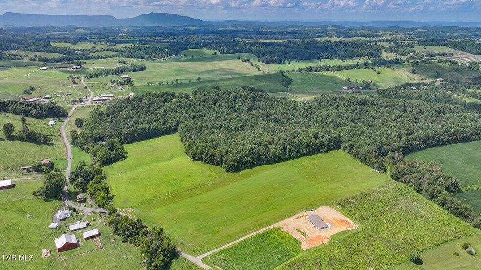 170 McCall Rd, Limestone, TN for sale - Aerial - Image 2 of 6
