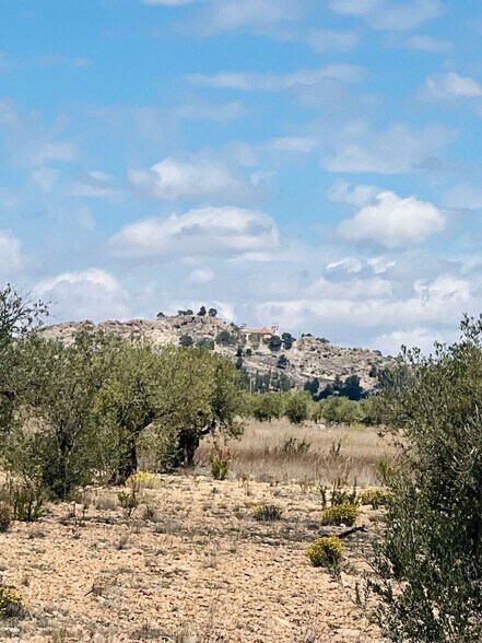 Land in Yecla for sale - Building Photo - Image 1 of 6