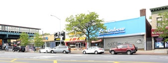 1301-1319 Castle Hill Ave, Bronx NY - Storefront Property