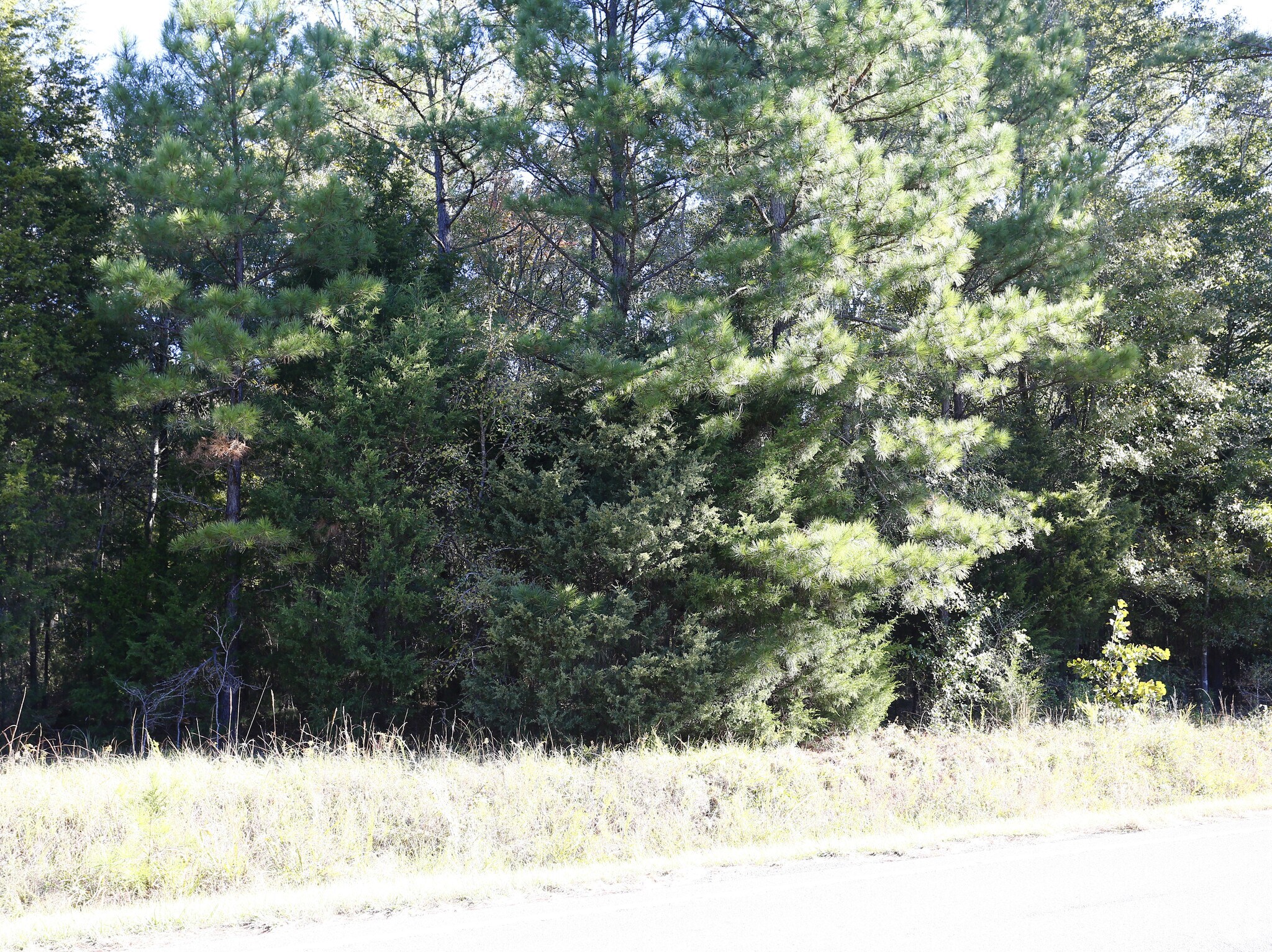 2022 Porter Rd, Rock Hill, SC 29730