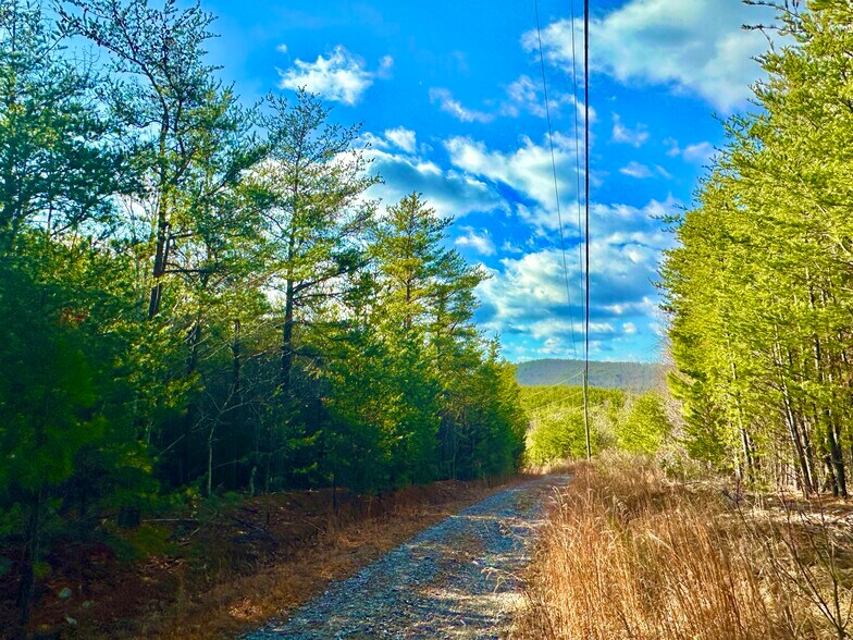 00 E Valley Rd, Rydal, GA for sale - Primary Photo - Image 1 of 1