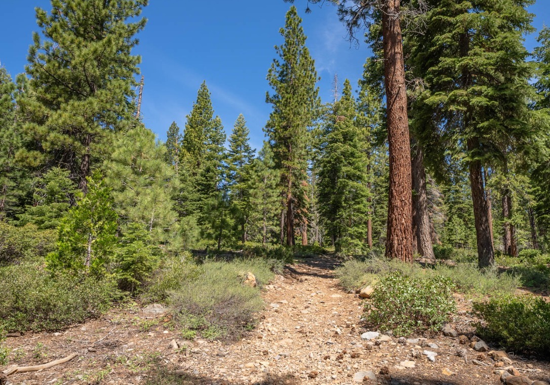 6698 Idlewood Rd, Tahoe Vista, CA for sale Primary Photo- Image 1 of 2