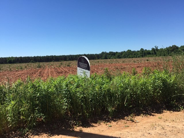 7175 Pasture Rd, Wedgefield, SC for sale Other- Image 1 of 1