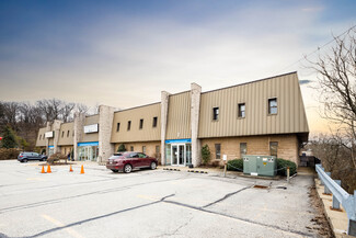 More details for 275 Curry Hollow Rd, Pittsburgh, PA - Multiple Space Uses for Lease