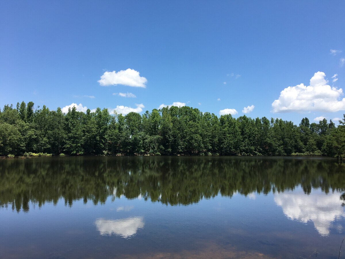 Fork Shoals Rd, Simpsonville, SC 29680