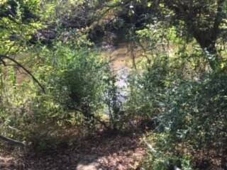 999 Jay White Rd, Rutherfordton, NC for sale - Primary Photo - Image 1 of 1