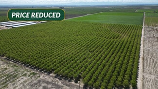 More details for 9495 W Kamm Ave, Riverdale, CA - Land for Sale