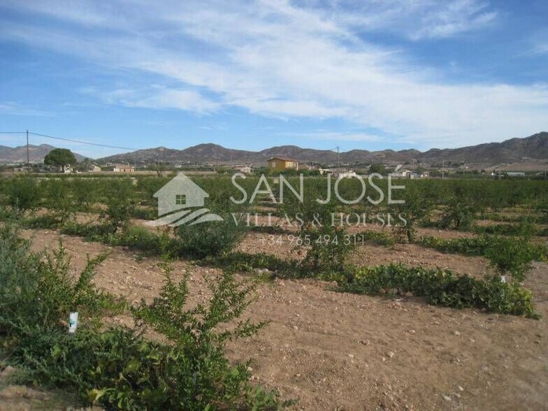 Land in Aspe for sale - Building Photo - Image 3 of 3