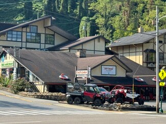 More details for 446 E Parkway, Gatlinburg, TN - Flex for Lease