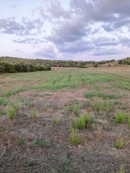 Land in Manacor, Islas Baleares for sale - Building Photo - Image 2 of 3