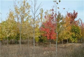 901 S Route 73, Berlin Township, NJ for sale - Primary Photo - Image 1 of 1