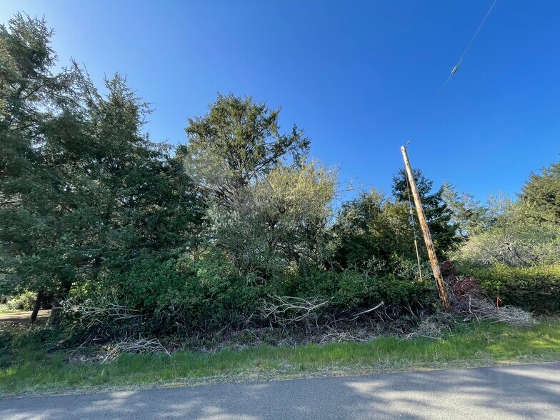 148 Skookumchuck st Se, Ocean Shores, WA 98569