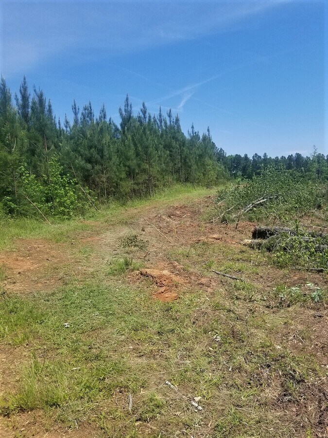 0 Glymph Rd, Whitmire, SC 29178