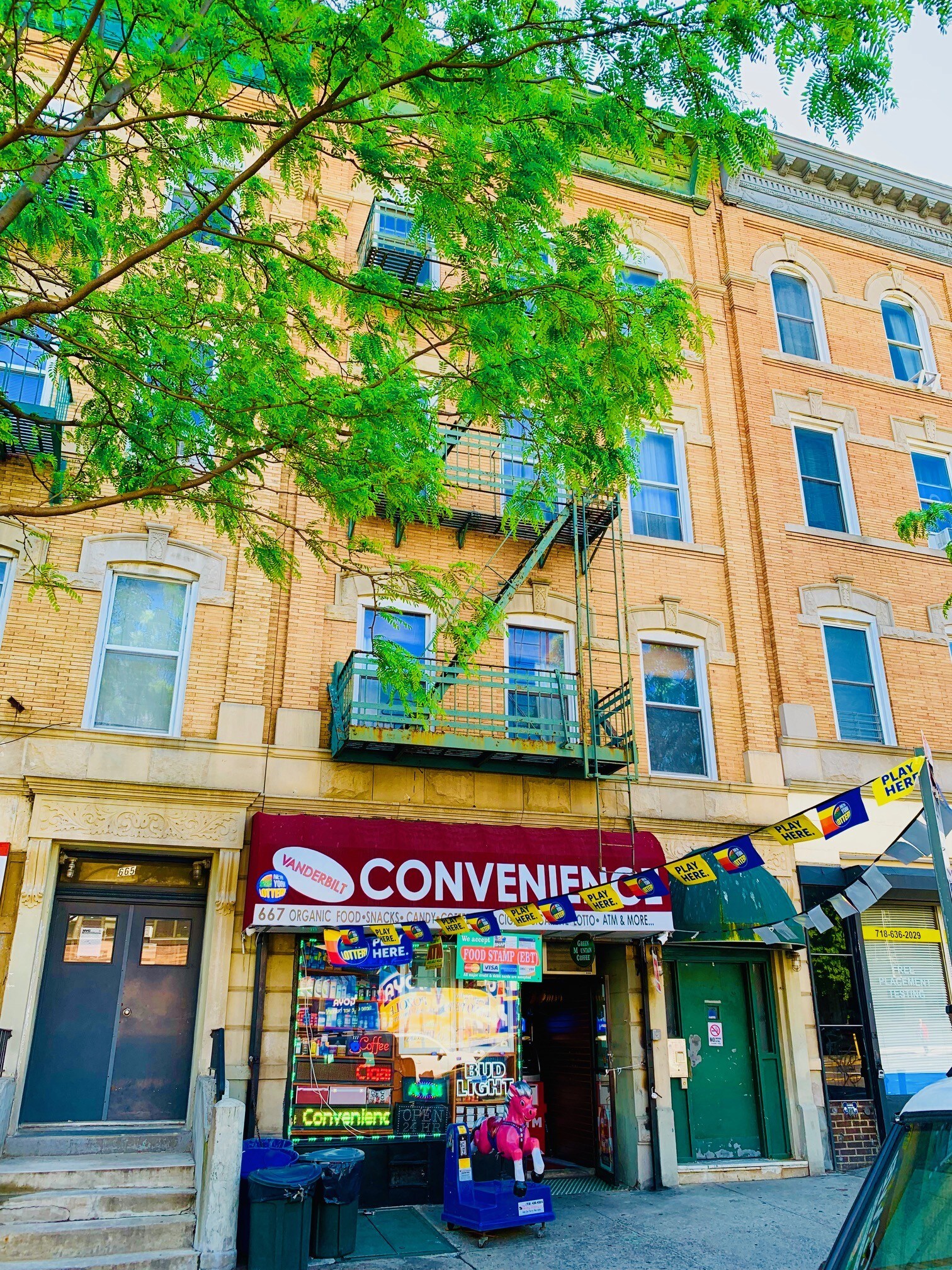 667 Vanderbilt Ave, Brooklyn, NY for sale Building Photo- Image 1 of 1