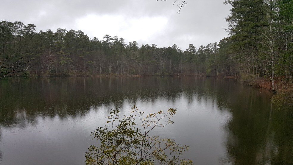 0 GA Hwy, Waverly Hall, GA 31831