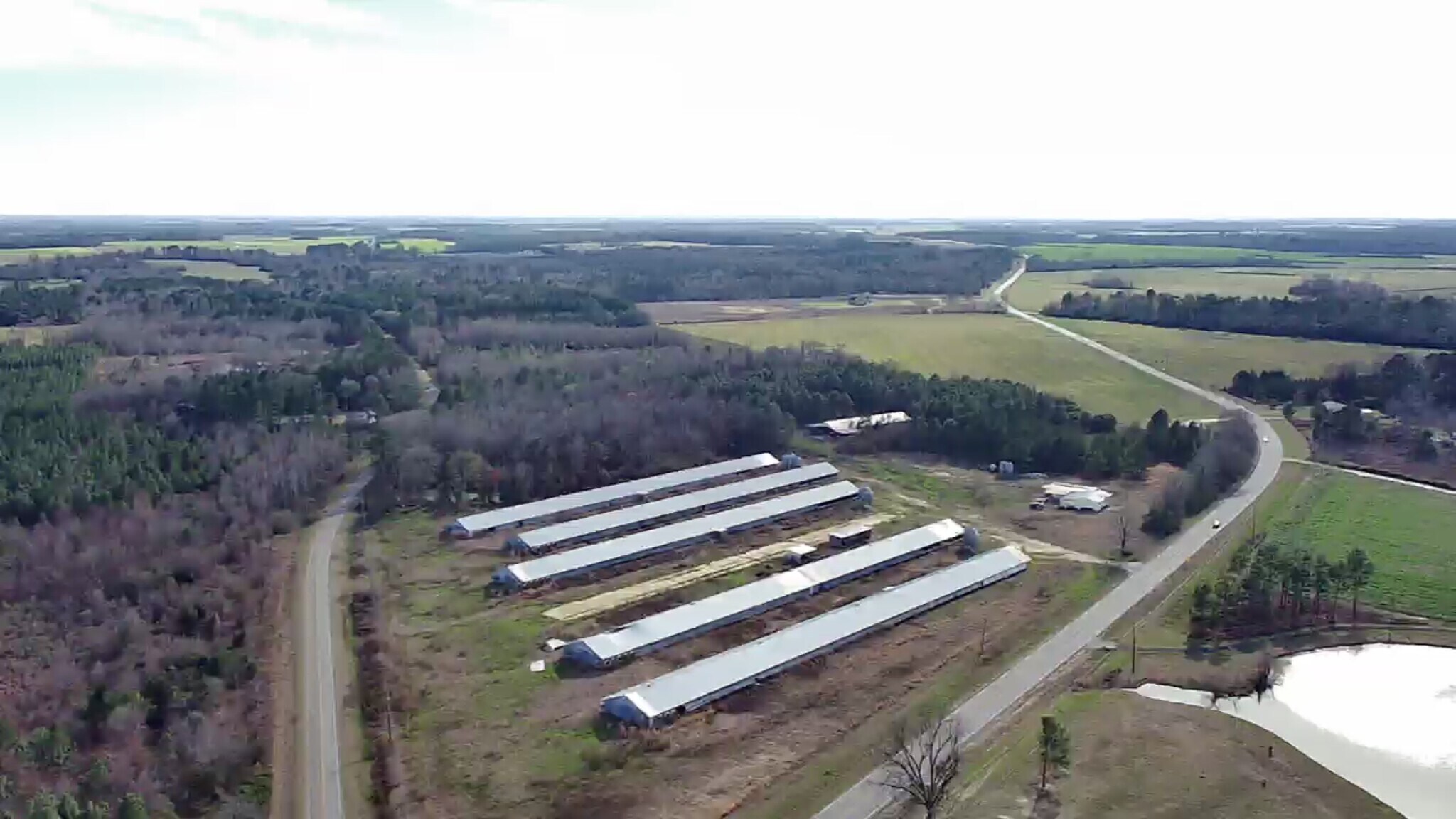 99 Pineview Hwy, Hawkinsville, GA for sale Primary Photo- Image 1 of 1