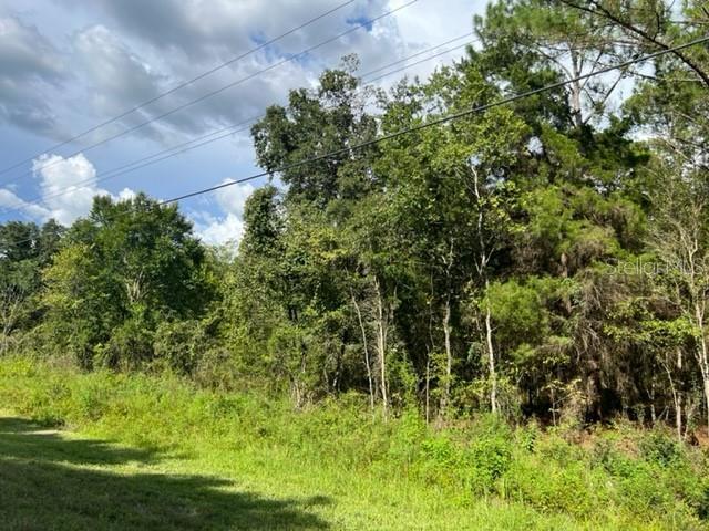 Treiman Blvd, Webster, FL 33597 | LoopNet