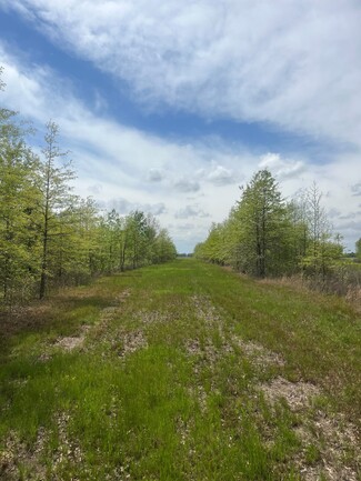 More details for 0 Hwy 147 hwy, Proctor, AR - Land for Sale