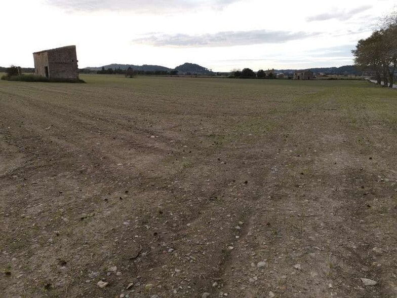 Land in Sineu for sale - Building Photo - Image 2 of 6