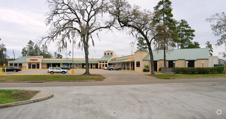 More details for 11902 Jones Rd W, Houston, TX - Medical, Flex for Lease